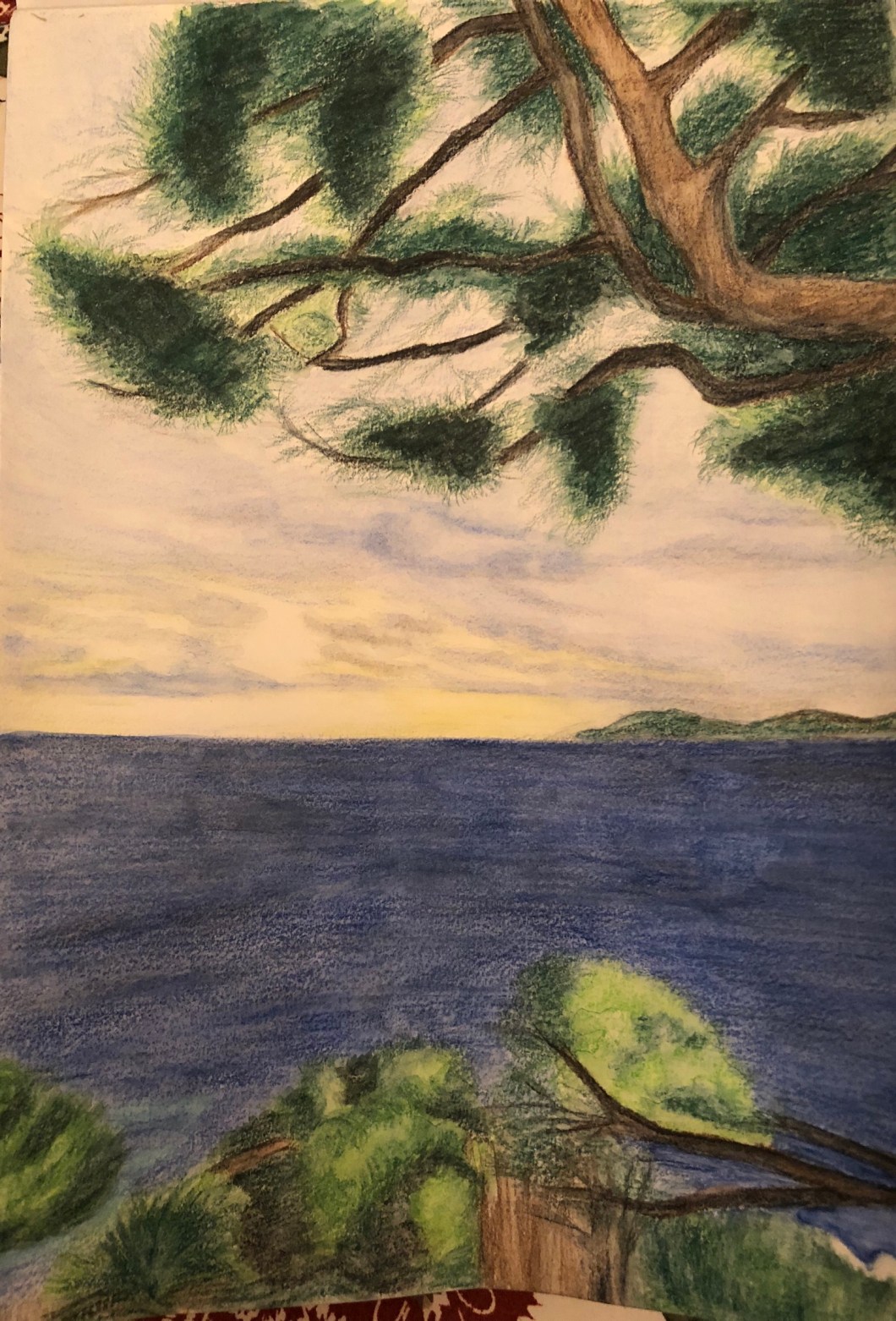 52EB2B2A-55F8-4494-B82C-A19D000A70CA