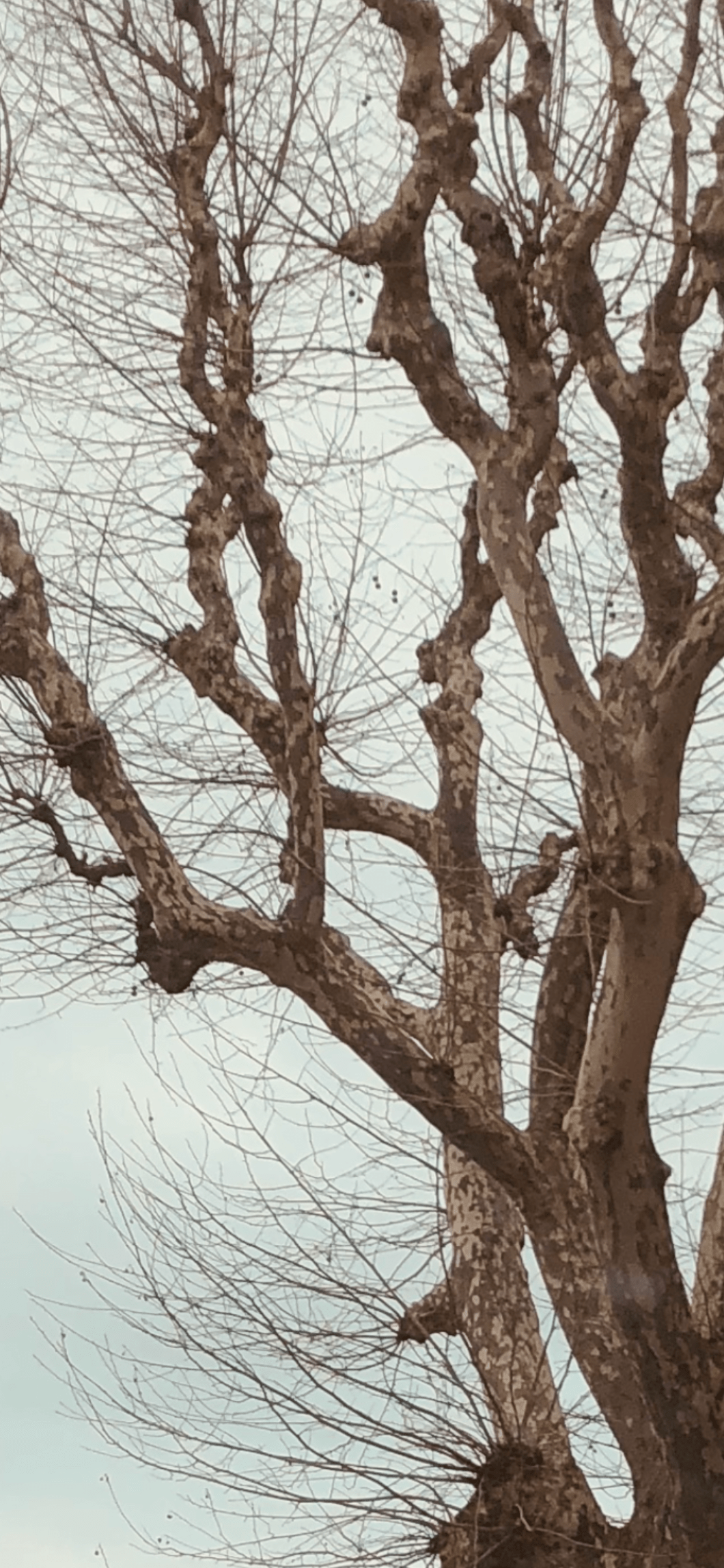 768D0764-6407-4556-9B19-549CA2760D9A