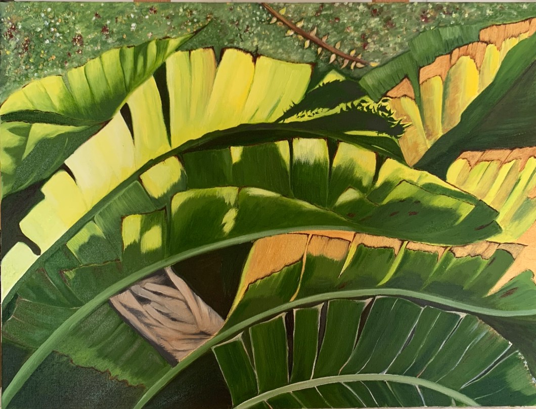 6DA9CC35-474D-4748-BAF1-6C3C3A26425E