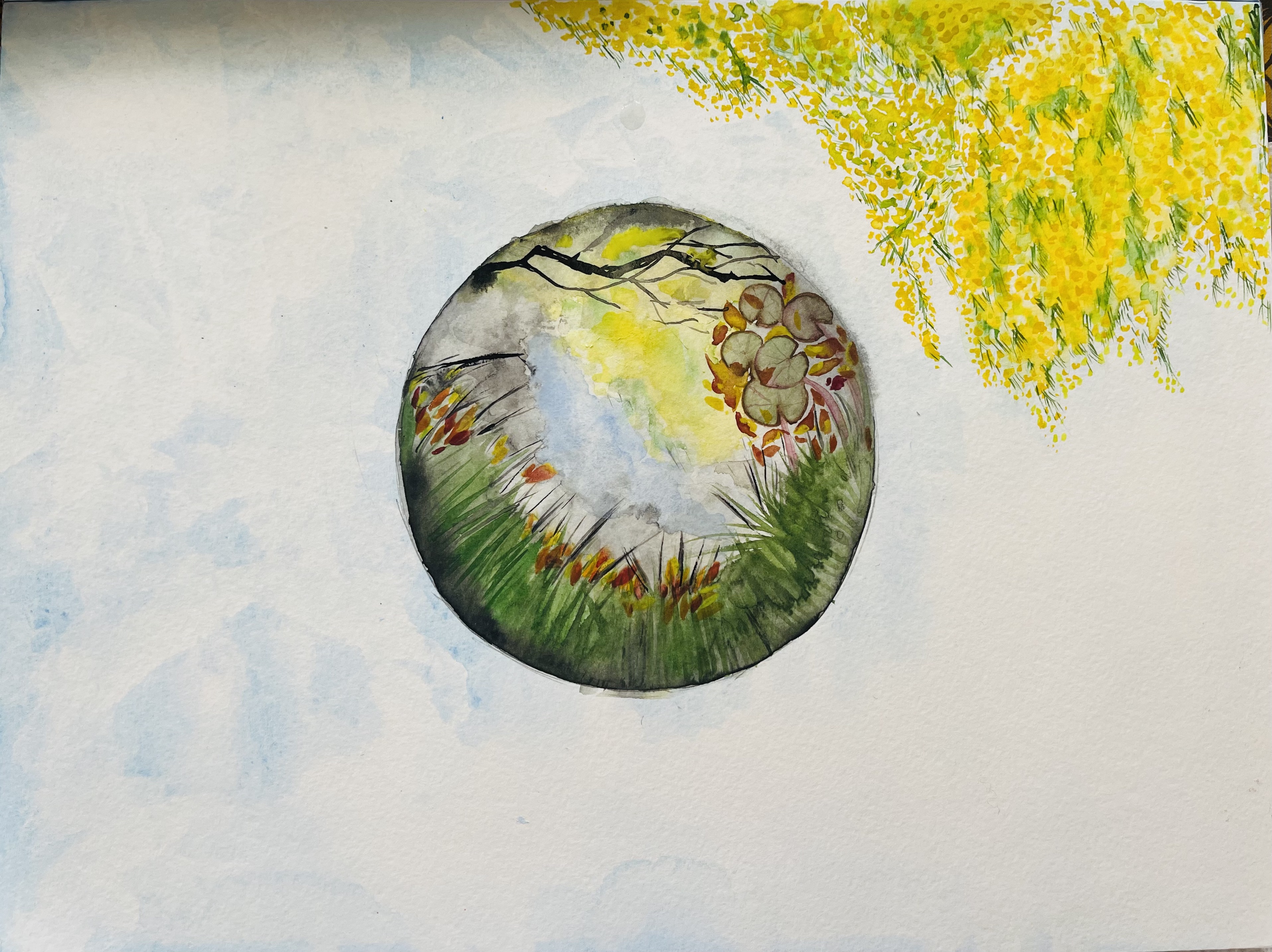 Painting 2. Project 4. Reflective surfaces and framed views- a