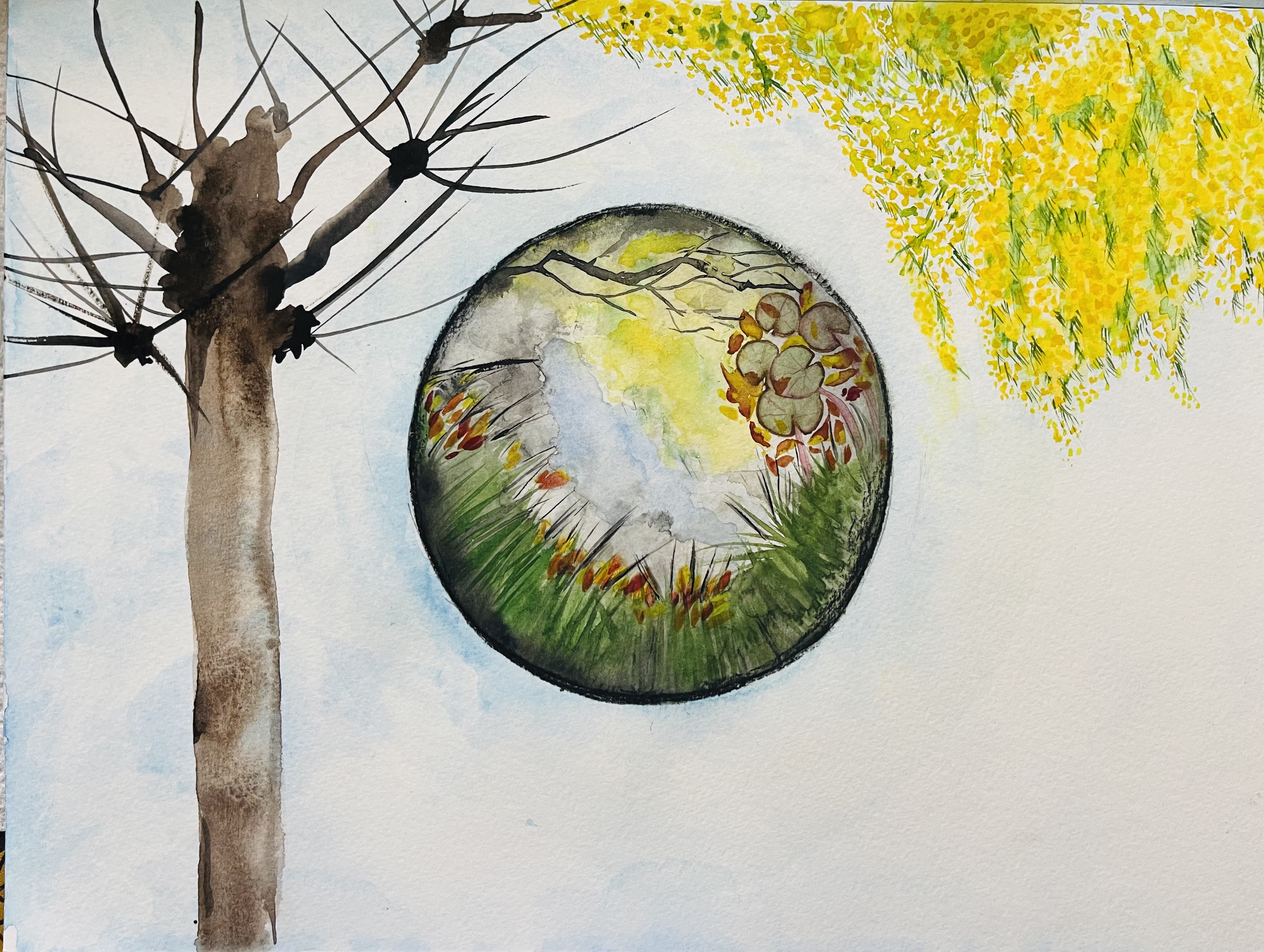 Painting 2. Project 4. Reflective surfaces and framed views- a